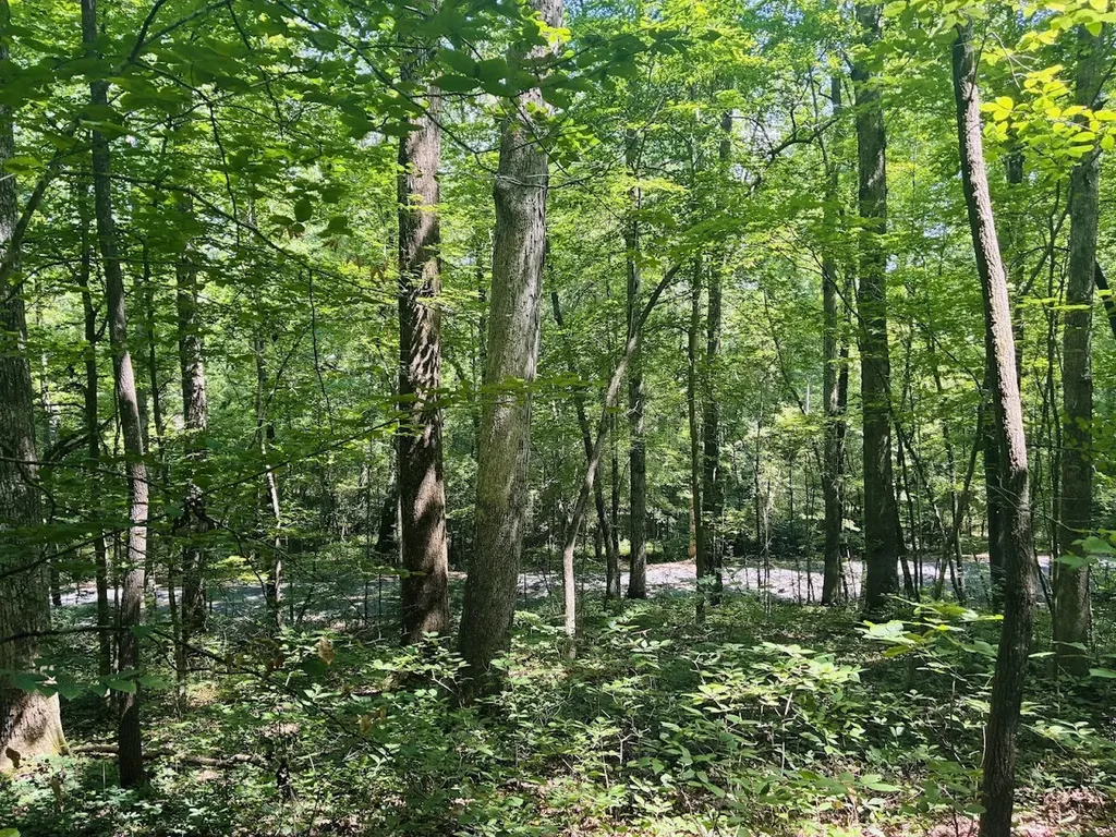0 Forest Glen Road Sylacauga AL 35151