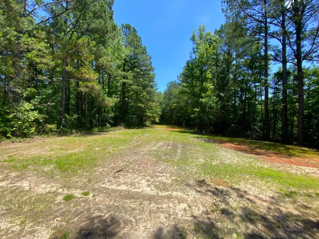 12775 Hagler Coaling Road Cottondale AL 35453