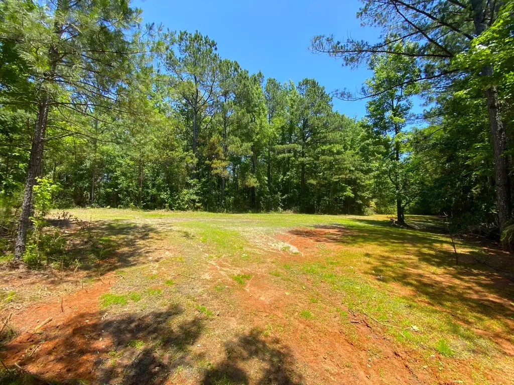 12775 Hagler Coaling Road Cottondale AL 35453