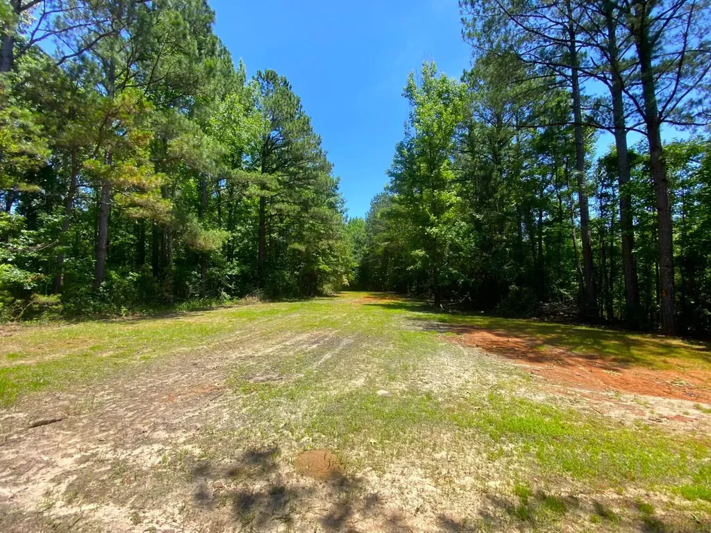 12775 Hagler Coaling Road Cottondale AL 35453