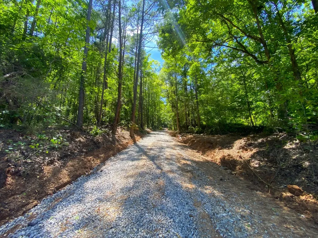 12775 Hagler Coaling Road Cottondale AL 35453