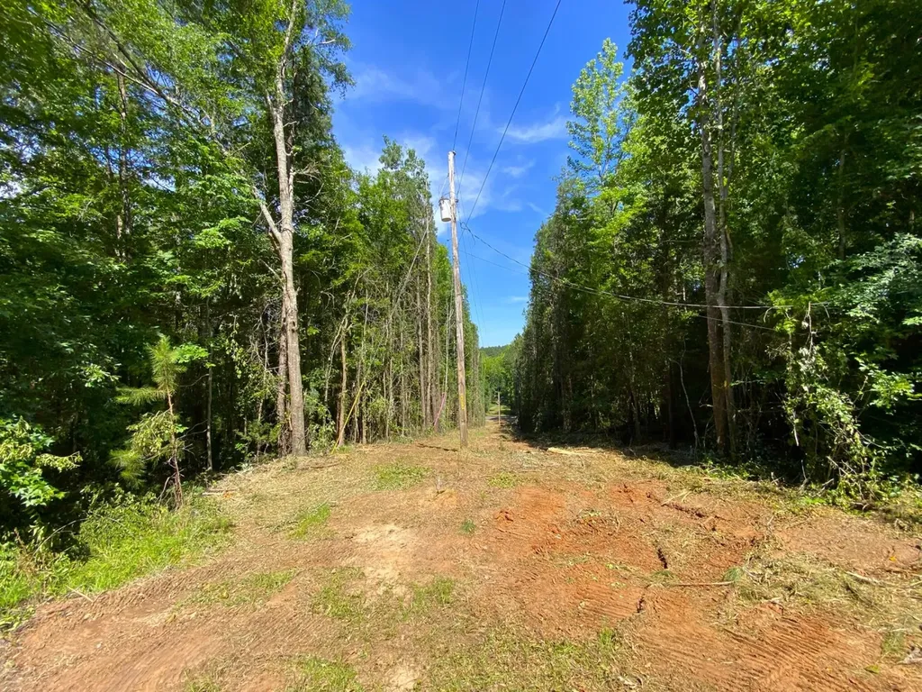 12775 Hagler Coaling Road Cottondale AL 35453