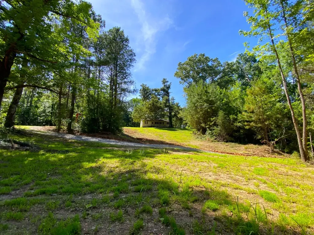 12775 Hagler Coaling Road Cottondale AL 35453