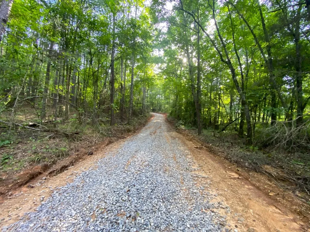 12775 Hagler Coaling Road Cottondale AL 35453