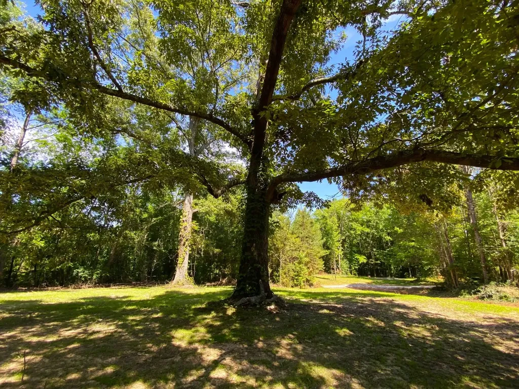 12775 Hagler Coaling Road Cottondale AL 35453