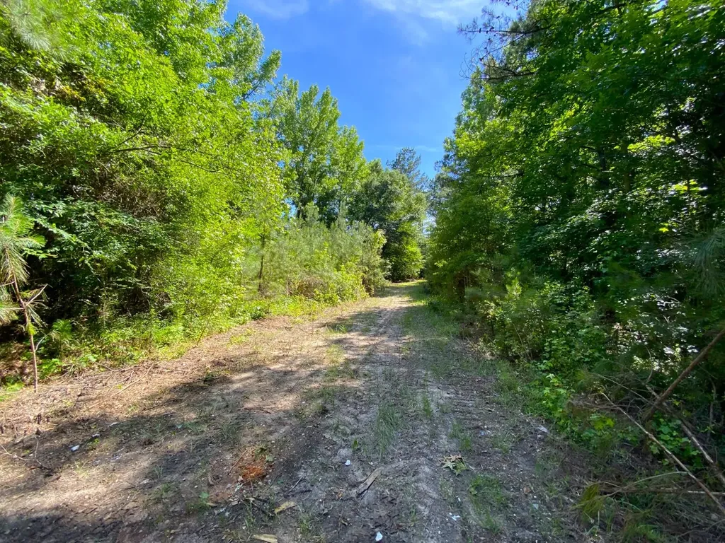 12775 Hagler Coaling Road Cottondale AL 35453
