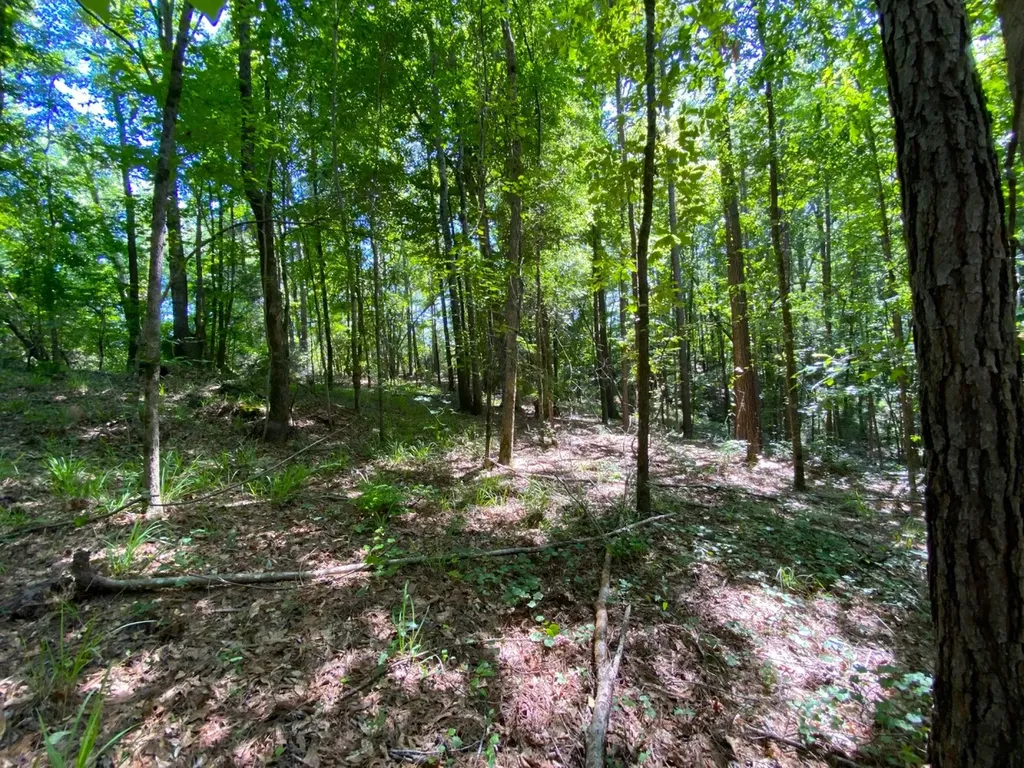 12775 Hagler Coaling Road Cottondale AL 35453