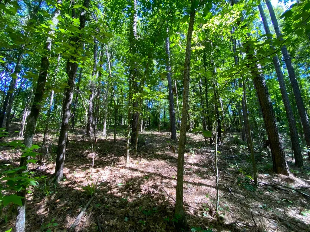 12775 Hagler Coaling Road Cottondale AL 35453