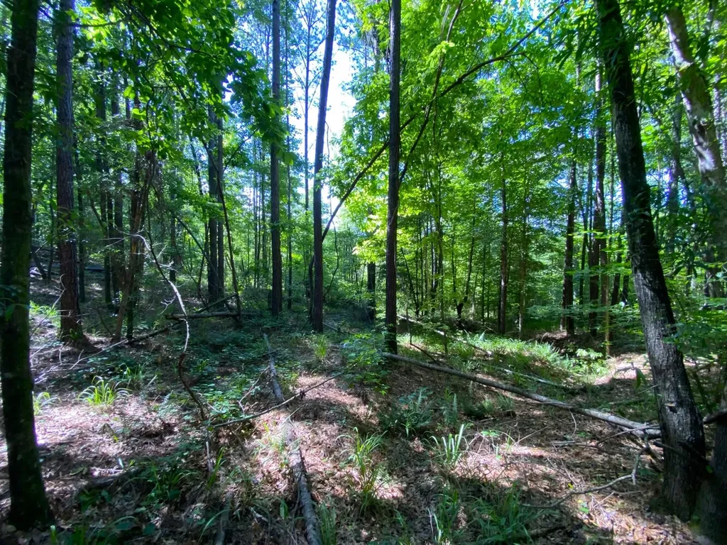 12775 Hagler Coaling Road Cottondale AL 35453