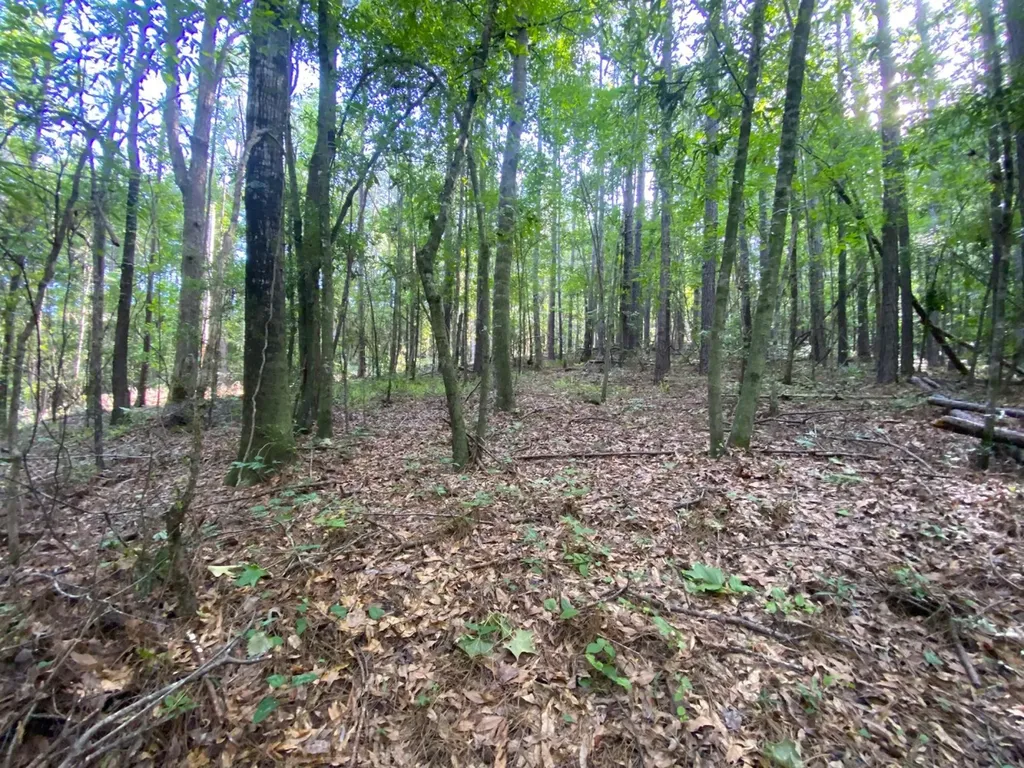 12775 Hagler Coaling Road Cottondale AL 35453