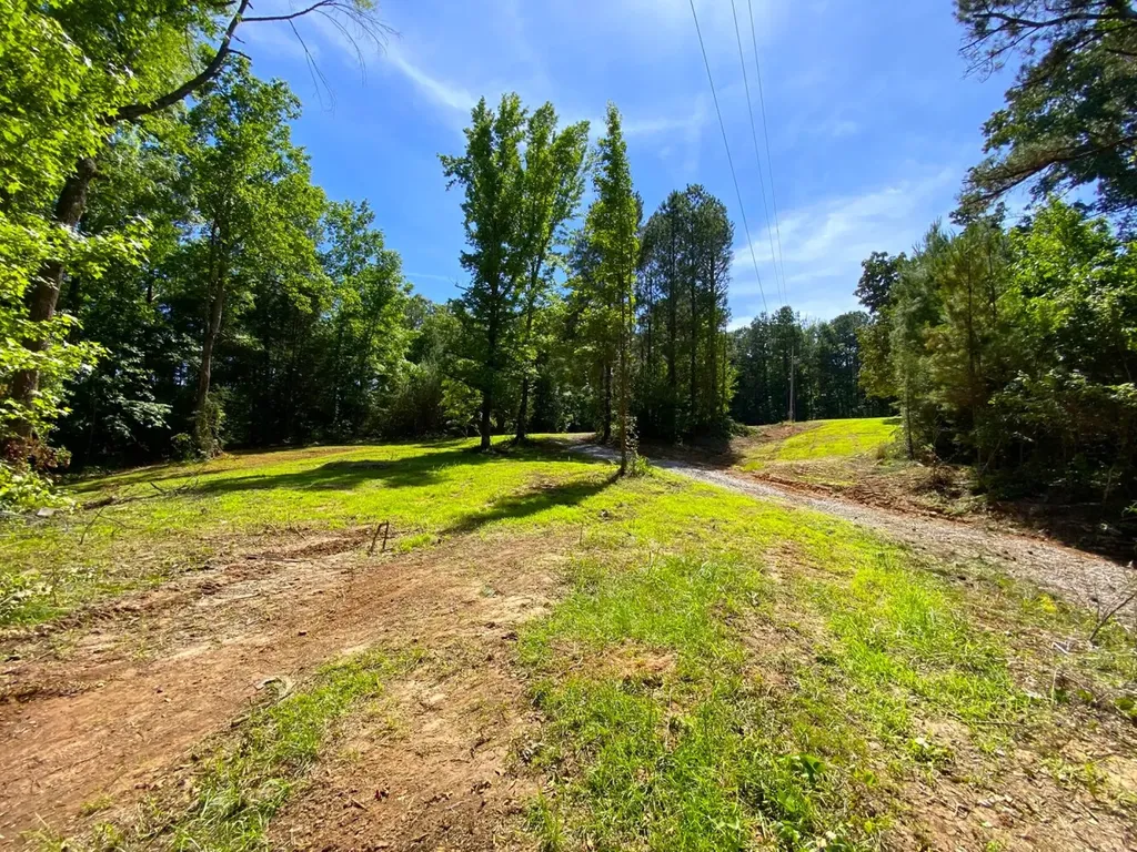12775 Hagler Coaling Road Cottondale AL 35453