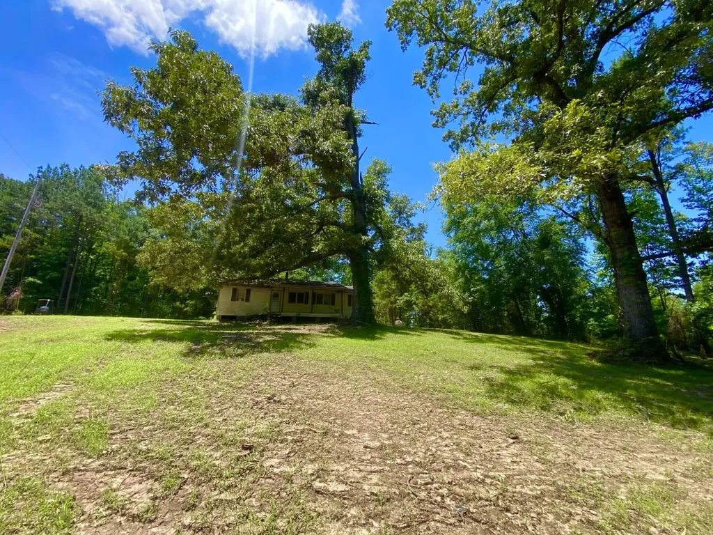 12775 Hagler Coaling Road Cottondale AL 35453