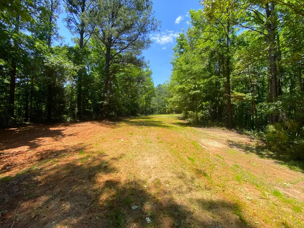12775 Hagler Coaling Road Cottondale AL 35453