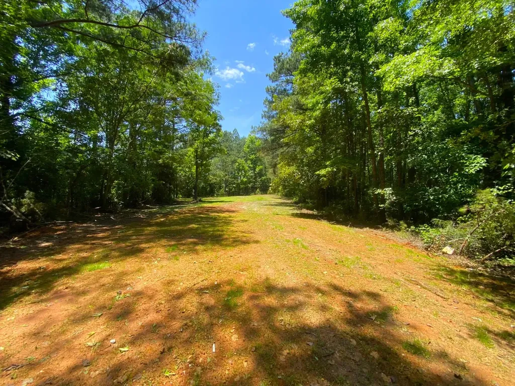 12775 Hagler Coaling Road Cottondale AL 35453