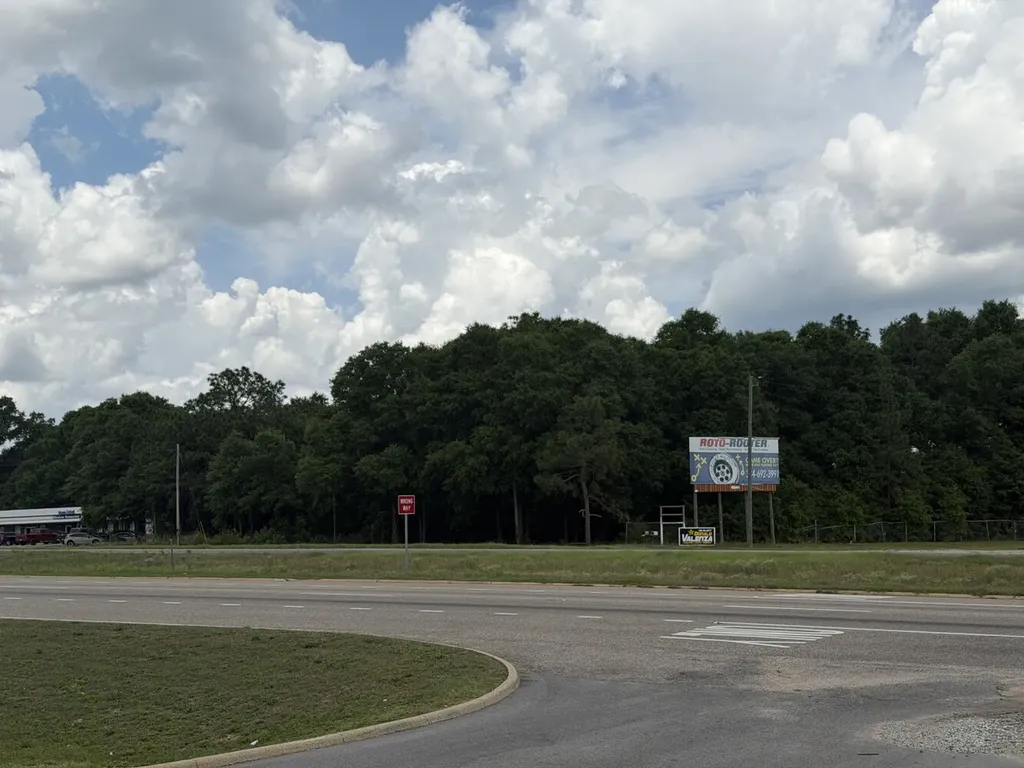 0 Highway 84 Newton AL 36352