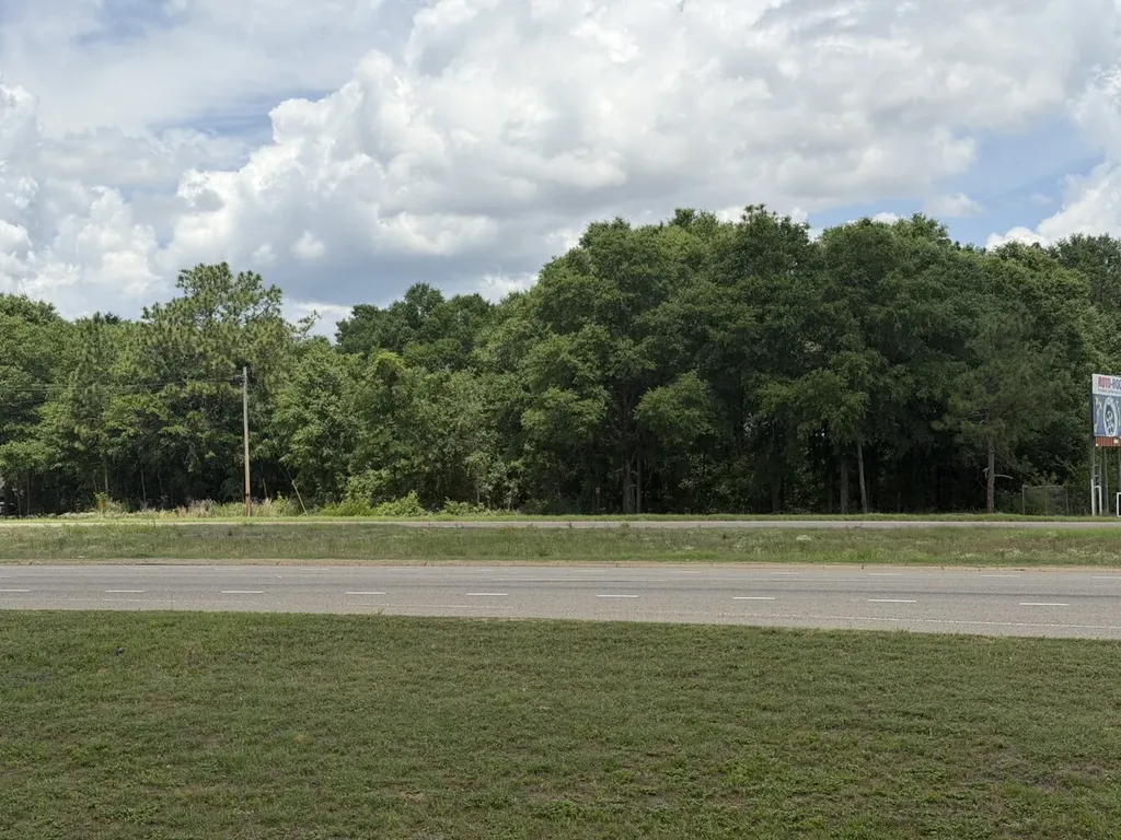 0 Highway 84 Newton AL 36352