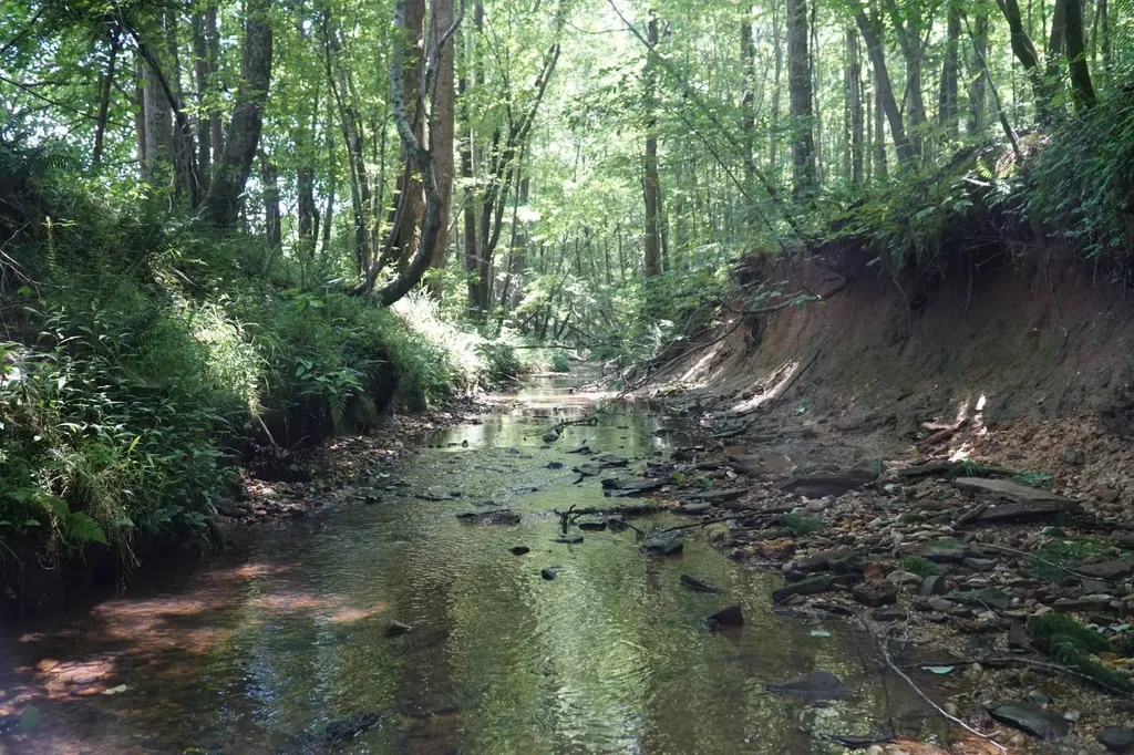 0 Happy Hollow Road Red Bay AL 35582