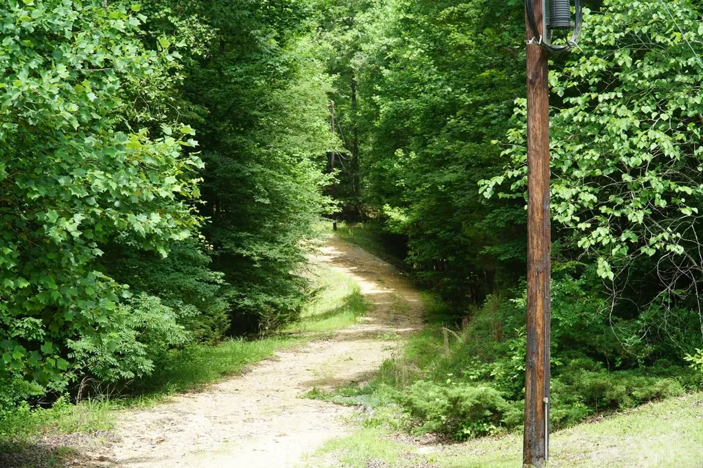 0 Happy Hollow Road Red Bay AL 35582