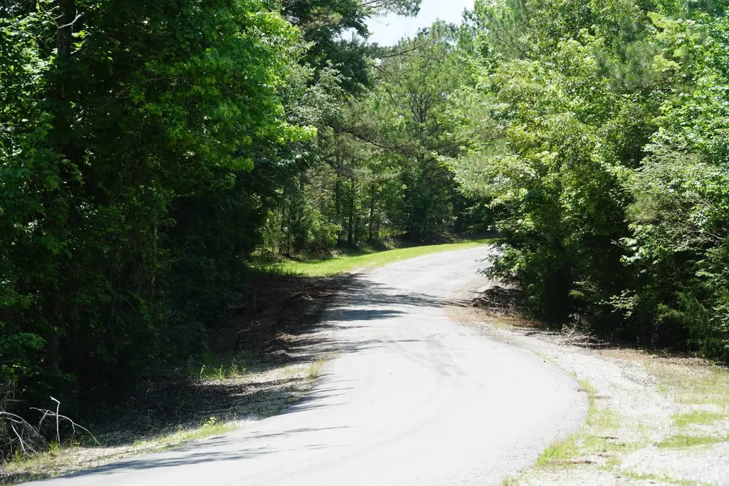 0 Happy Hollow Road Red Bay AL 35582
