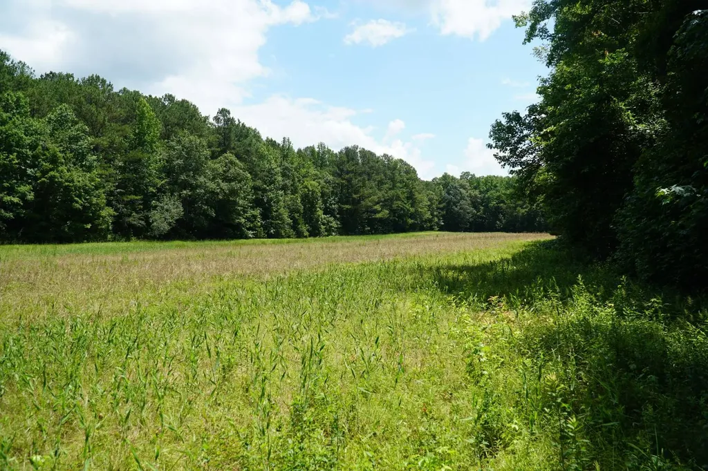 0 Happy Hollow Road Red Bay AL 35582