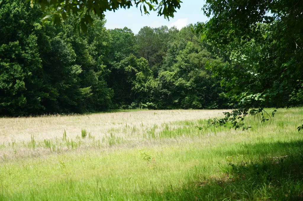 0 Happy Hollow Road Red Bay AL 35582