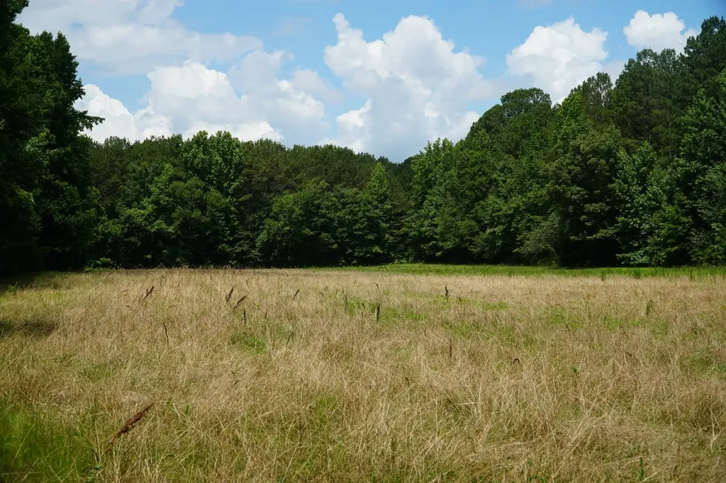 0 Happy Hollow Road Red Bay AL 35582