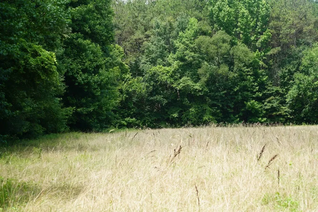 0 Happy Hollow Road Red Bay AL 35582