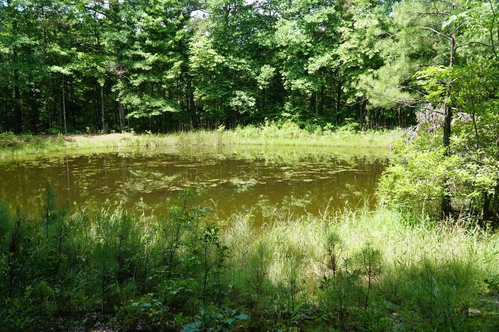 0 Happy Hollow Road Red Bay AL 35582
