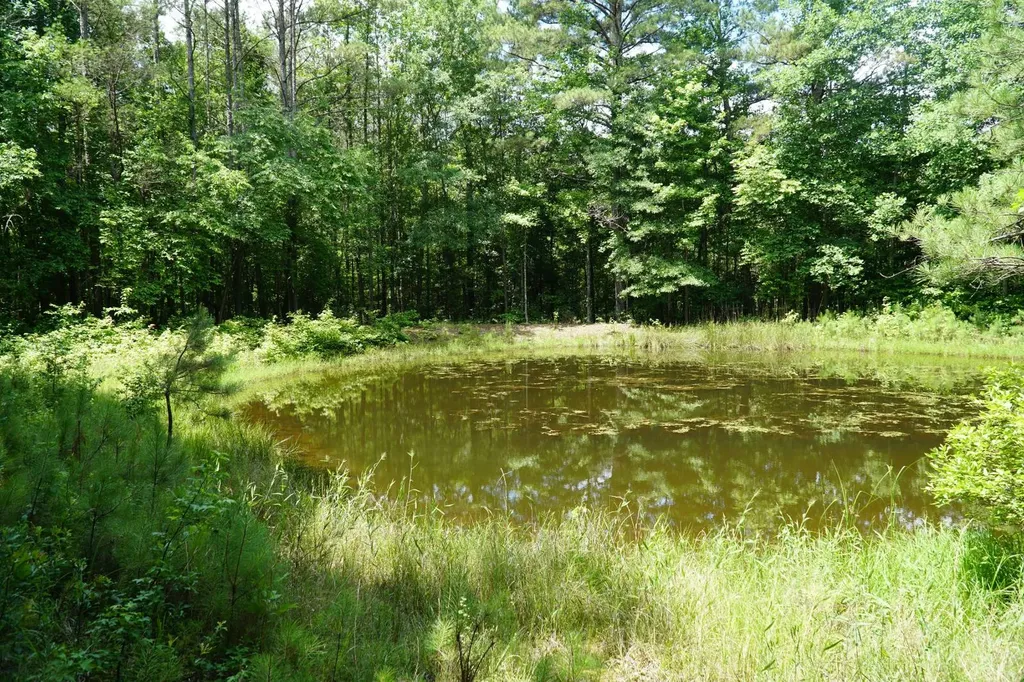 0 Happy Hollow Road Red Bay AL 35582