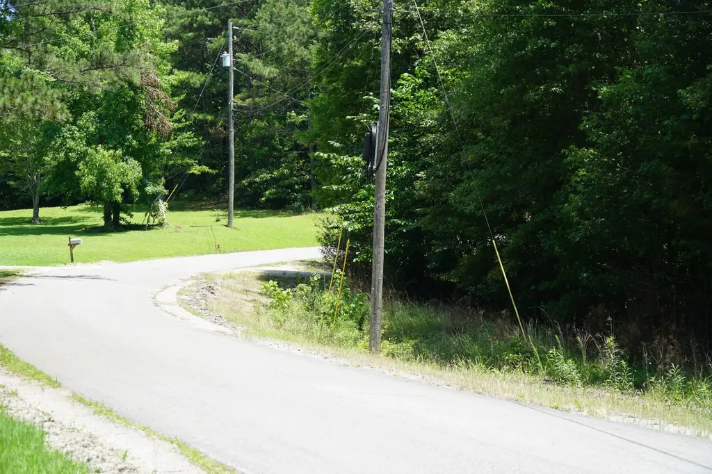 0 Happy Hollow Road Red Bay AL 35582