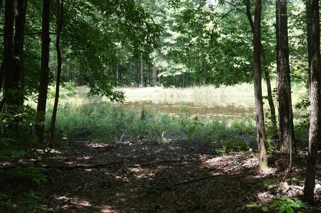 0 Happy Hollow Road Red Bay AL 35582
