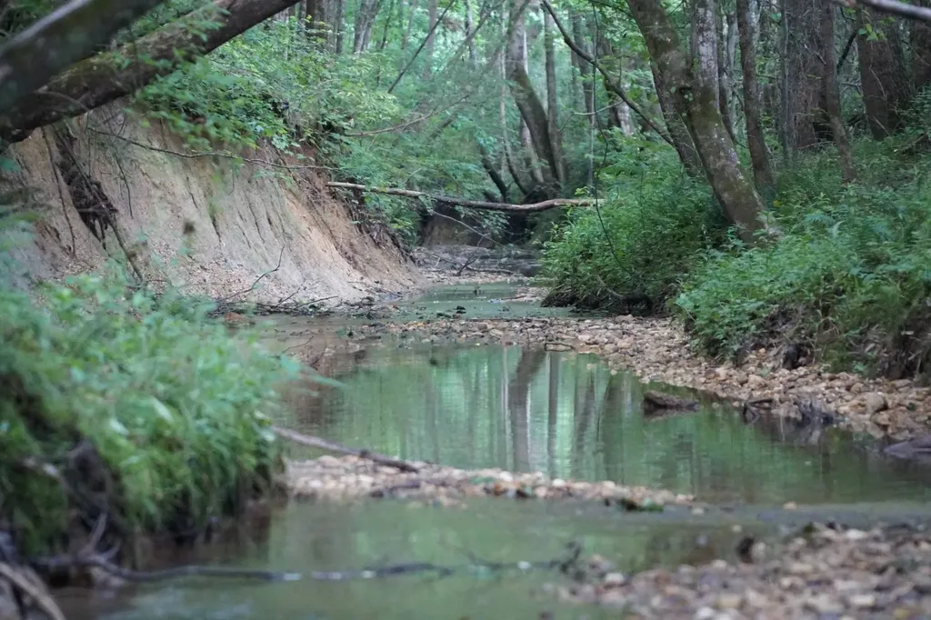 0 Happy Hollow Road Red Bay AL 35582