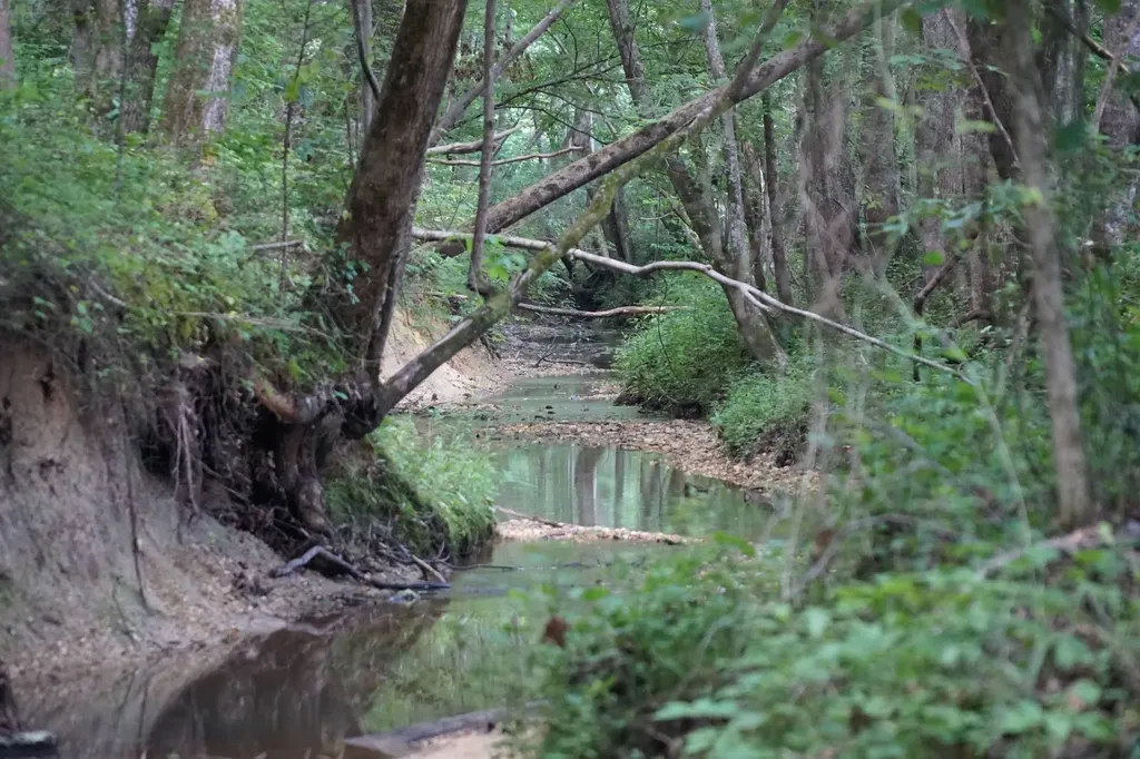 0 Happy Hollow Road Red Bay AL 35582