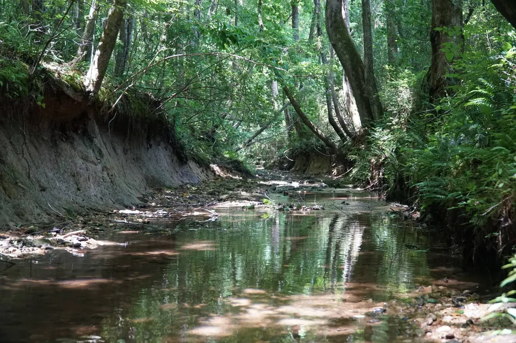 0 Happy Hollow Road Red Bay AL 35582