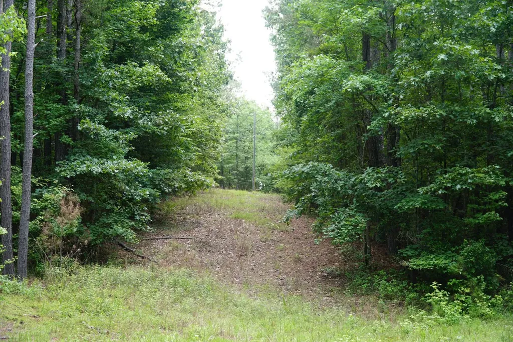 0 Happy Hollow Road Red Bay AL 35582