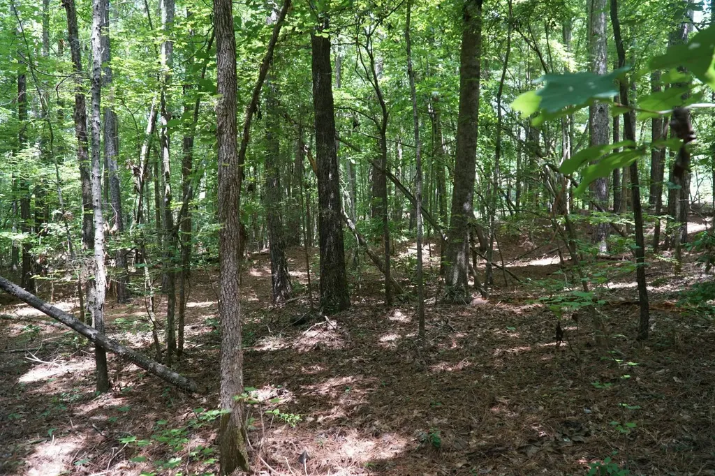 0 Happy Hollow Road Red Bay AL 35582