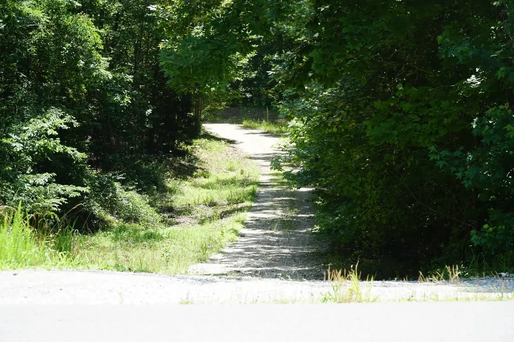 0 Happy Hollow Road Red Bay AL 35582