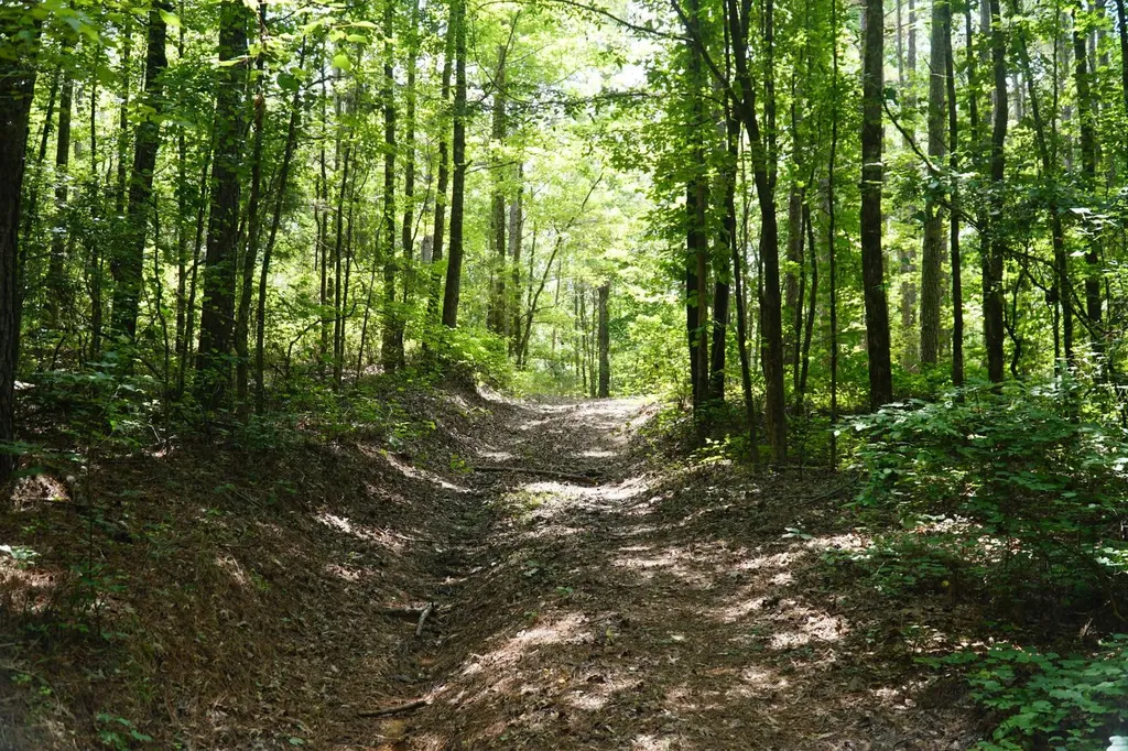 0 Happy Hollow Road Red Bay AL 35582