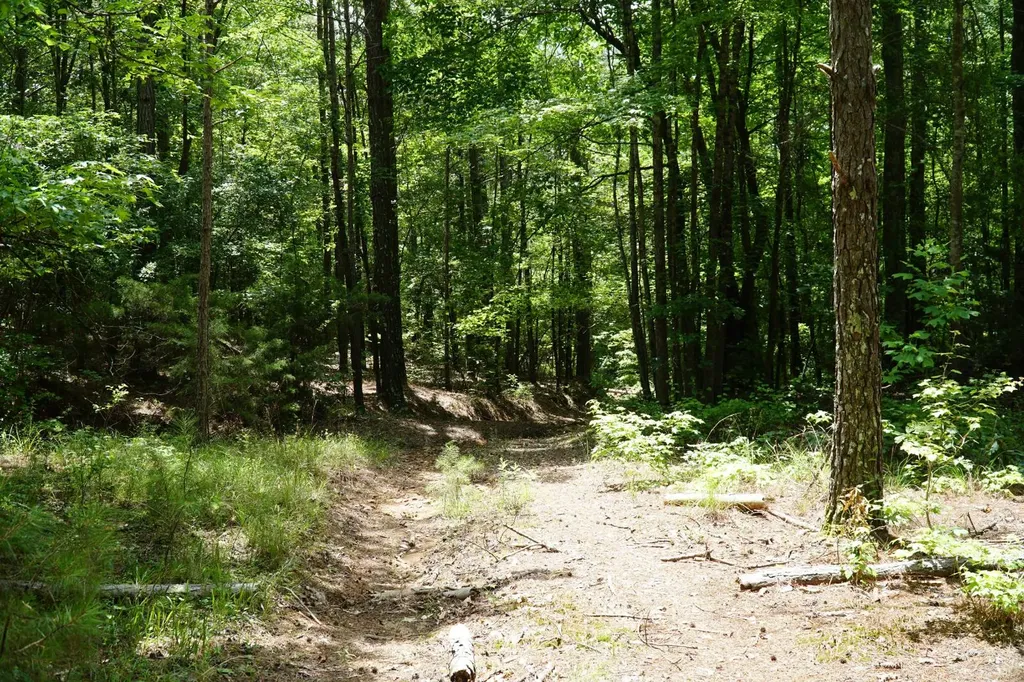 0 Happy Hollow Road Red Bay AL 35582