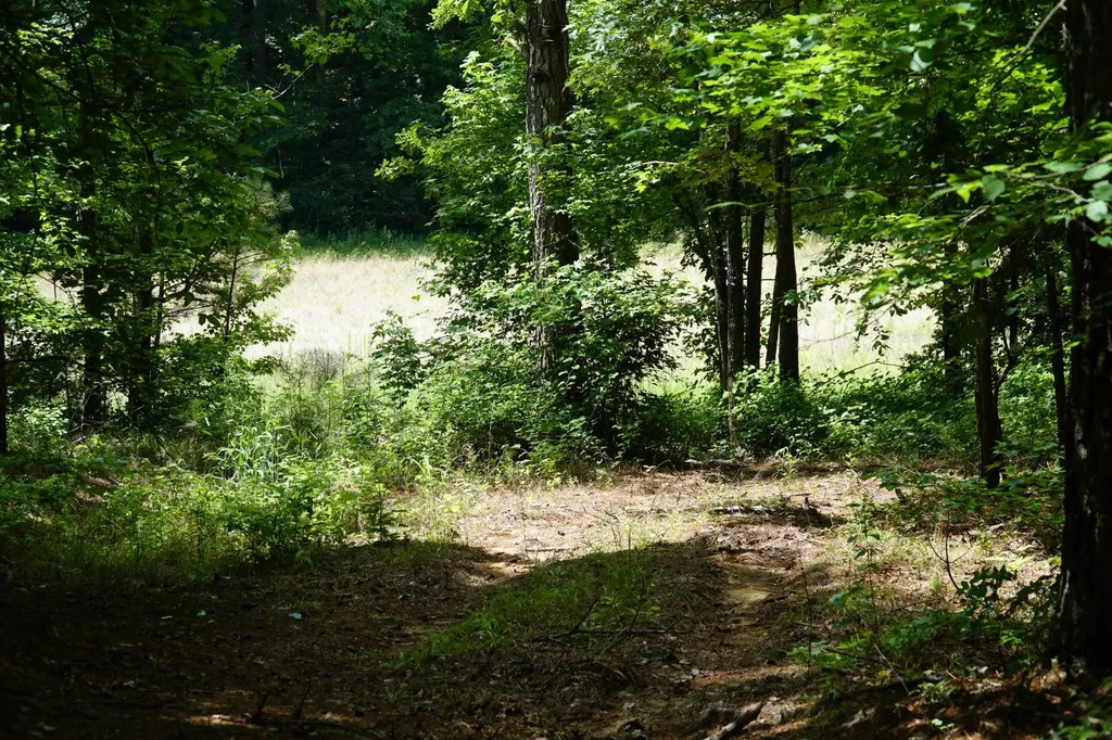 0 Happy Hollow Road Red Bay AL 35582