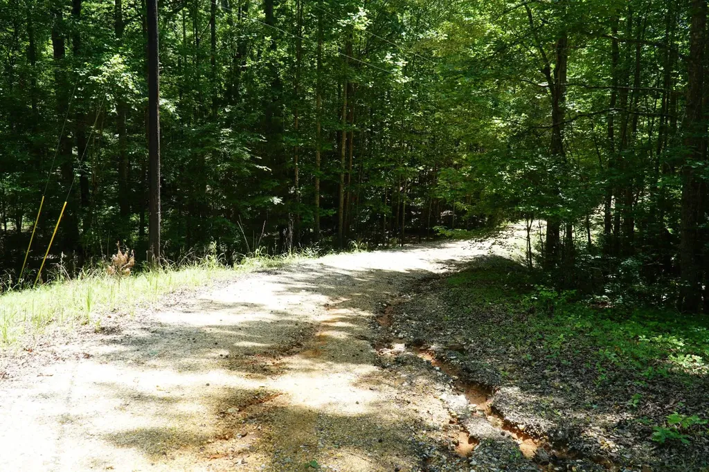 0 Happy Hollow Road Red Bay AL 35582