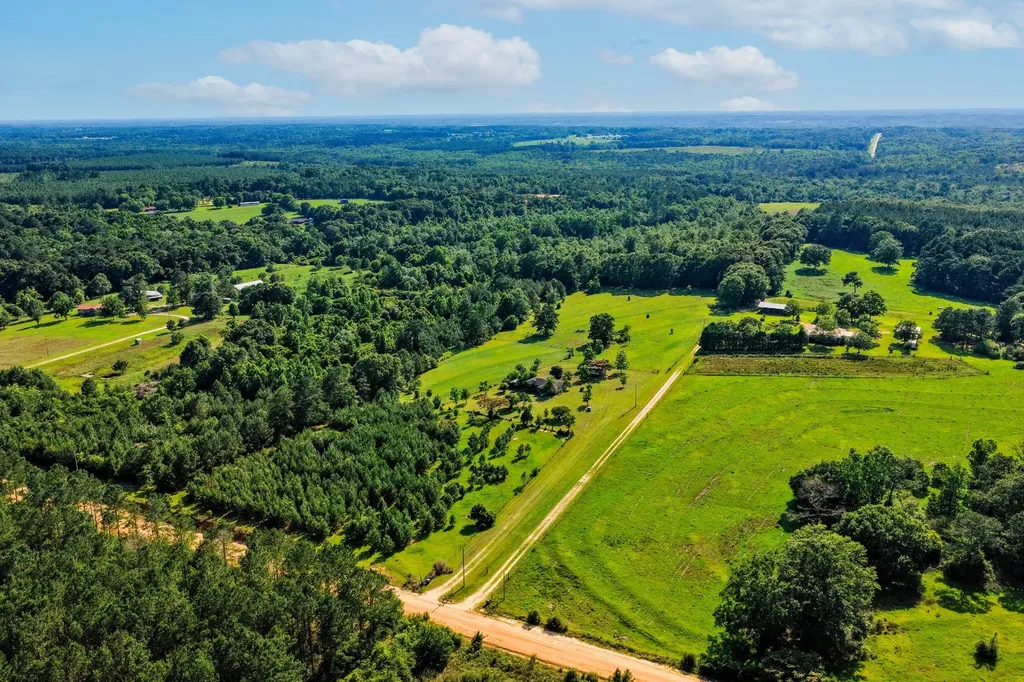 26541 Old Boggy Road Opp AL 36467