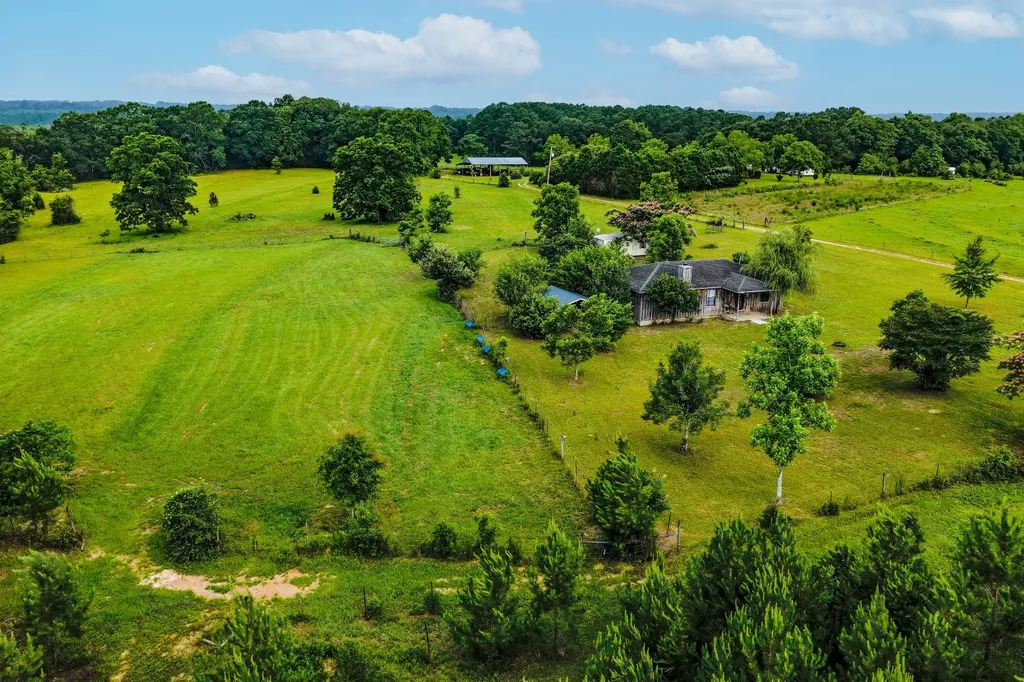 26541 Old Boggy Road Opp AL 36467