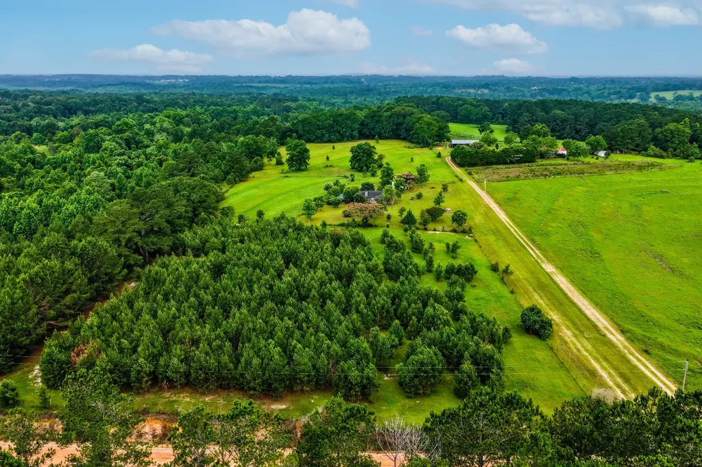 26541 Old Boggy Road Opp AL 36467