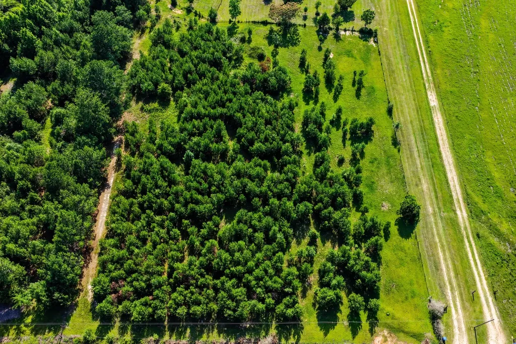 26541 Old Boggy Road Opp AL 36467