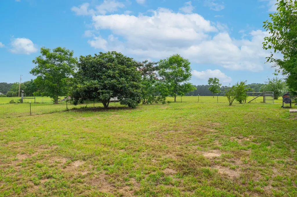 26541 Old Boggy Road Opp AL 36467