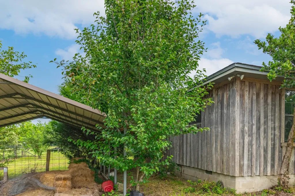 26541 Old Boggy Road Opp AL 36467