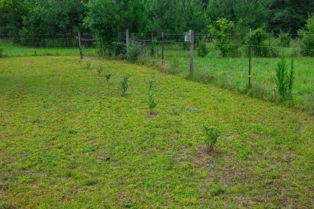 26541 Old Boggy Road Opp AL 36467