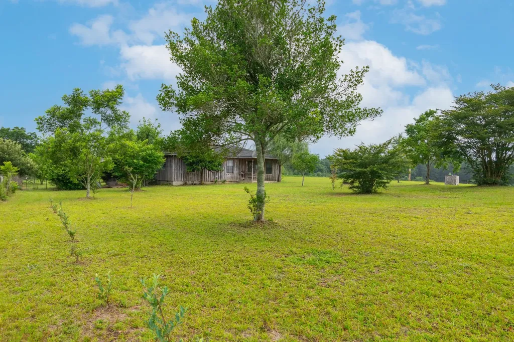 26541 Old Boggy Road Opp AL 36467