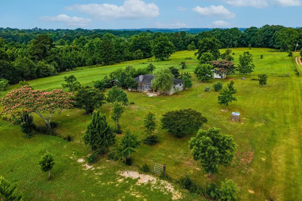 26541 Old Boggy Road Opp AL 36467